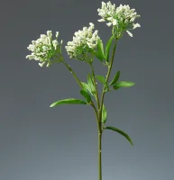 Цветок искусственный декоративный "Манжетка" 46см, 1шт, кремовый  - фото