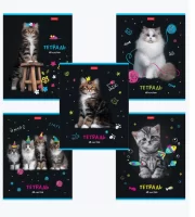 Тетрадь А5 48л. скоба, кл, глянц ламинация, МУРчат Коты (5видов в спайке),48Т5лВ1 404469 (5) HATBER Разноцветный - фото