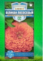 Цинния Великан лососевый 0,3 г серия Русский богатырь   - фото