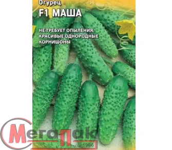 Огурец Маша F1 5 шт. корнишон (Голландия)  - фото