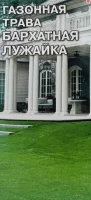 газон Газонная трава "Бархатная лужайка" 25гр. (Евро, 25)  - фото