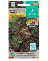 Салат Сивка-бурка листовой цв/п 0,5 гр., среднеранний,крастнолисный, массой до 400 гр  - фото