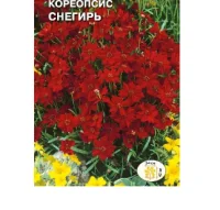 цветок Кореопсис Снегирь (красильный, темно-красный) (Евро, 0,2)  - фото