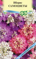 Иберис Самоцветы 0,1 г серия Альпийская горка  - фото