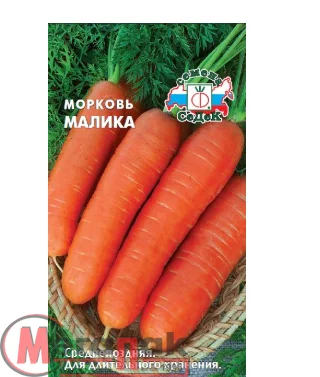 Морковь Малика (МФ, 2)  - фото
