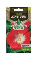 Ипомея пурпурная Скарлет О' Хара 1 гр.  - фото