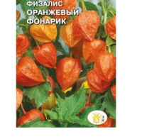 цветок Физалис Оранжевый фонарь (вид: Франше) (Евро, 0,1)  - фото