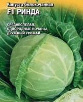 Капуста белокоч. Ринда F1 10 шт. для квашения (Голландия)  - фото