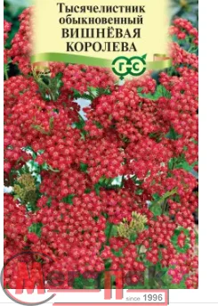 Тысячелистник Вишневая королева* 0,05 г Тысячелистник Вишневая королева* 0,05 г  - фото