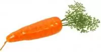 Морковь Оранжевый - фото