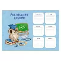 Расписание уроков "СОВУШКА" А3  - фото