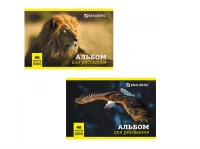 Альбом д/рис. А4 40л., скоба, обложка картон, BRAUBERG, 200х283мм, Дикие животные (2вида), 104876  - фото