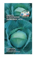 капуста Зимовка 1474 (Б/К) (Евро, 0,5)  - фото