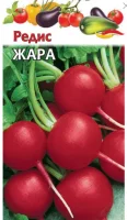 Редис Жара 3,0 г   - фото