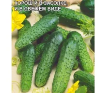 Огурец Нежинский (0,5 г) (МФ, 0,5)  - фото