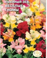 цветок Львиный зев Веселые  гномы (низкий, смесь цветов) (Евро, 0,1)  - фото