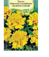 Бархатцы откл. Золото героя (Тагетес) 0,1 г DH  - фото