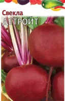 ДУ свёкла Детройт (столовая) (Евро, 3)  - фото