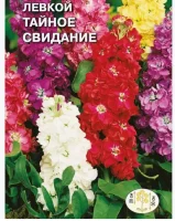 цветок Левкой Тайное свидание ( маттиола, карликовая смесь) (Евро, 0,1)  - фото