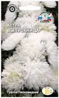 цветок Астра Выпускница (пионовидная, белая) (Евро, 0,2)  - фото