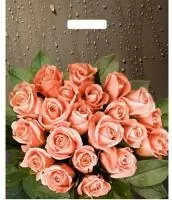 ТЦ50штСумка-пакет 38*47 прор.ручка лам Розы после дождя  - фото