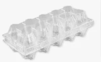 Контейнер УК-25-11 ПЭТ для яиц (10ячеек) 1/10 Прозрачный - фото