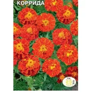 цветок Тагетес Коррида (отклоненный, высотой 20 см) (Евро, 0,2)  - фото