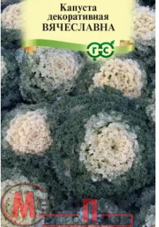 Капуста декоративная Вячеславна* 0,05 г (воронежская белая) DH  - фото
