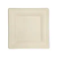 Тарелка эко квадратная 16*16 1/50 (20), Р302 Белый - фото