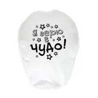 Фонарик желаний "Я верю в чудо!"  3536761  - фото