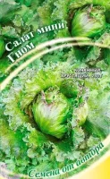 Салат Гном 0,5 г автор. мини, кудрявый, хрустящий,темно-зеленый   - фото