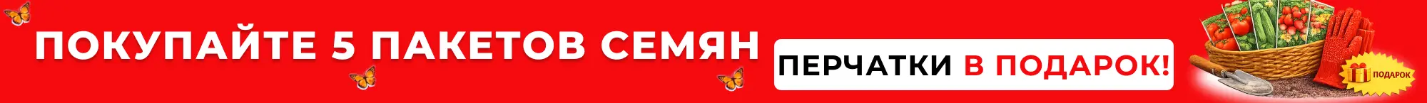 Семена перчатки