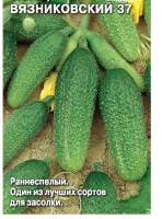 ДУ огурец Вязниковский 37 о/г (Евро, 0,5)  - фото