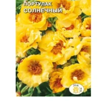 цветок Портулак Аленький цветочек (крупноцветковый, ярко-красный) (Евро, 0,04)  - фото