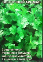 кориандр Восточный Аромат (Евро, 2)  - фото