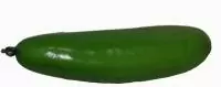 1151 Огурец Зеленый - фото