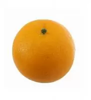 Апельсин Мартин Оранжевый - фото