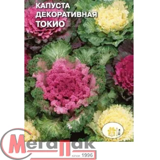 цветок Капуста декоративная Токио смесь (Евро, 0,1)  - фото