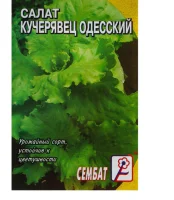 Салат Кучерявец Одесский цв/п 1 гр  - фото