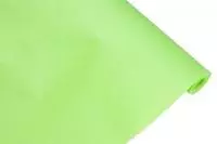 Пергамент флористический "Зеленое яблоко" 50см*10м 58г/м2, 60 листов Зеленый - фото