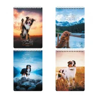 Блокнот А5 146х206мм, 80л, гребень, картон, клетка, BRAUBERG, Грациозные собаки, 114376  - фото