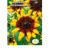 цветок Рудбекия Осенний лес (волосистая, золотисто-бронзовая) (Евро, 0,3)  - фото