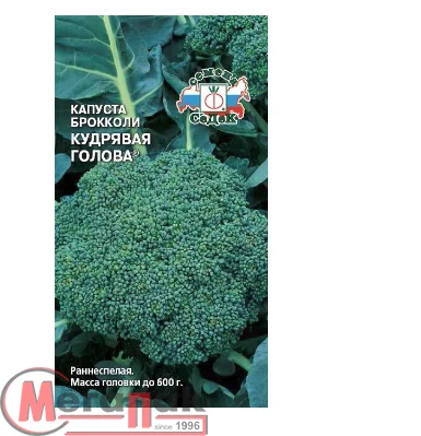 капуста Кудрявая Голова® (БРОК) (Евро, 0,5)  - фото