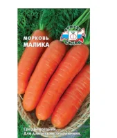 Морковь Малика (МФ, 2)  - фото