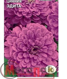 цветок Цинния Эдита (георгиновидная, розово-лавандовая) (Евро, 0,5)  - фото