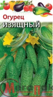 Огурец Изящный 0,5 г  - фото