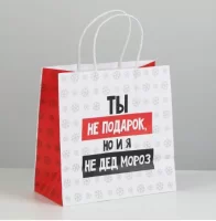 Пакет подарочный «Ты не подарок», 22 × 22 × 11 см   6249085 (300) Дарите счастье  - фото