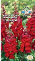 цветок Львиный зев Тореадор F1 (высокий, темно-красный) (Евро, 20)  - фото