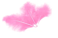 Перья, Премиум, Розовый, 12-15 см, 30 шт.  - фото