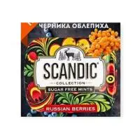 Драже освежающие Scandic Fresc черника-облепиха без сахара 14 г  - фото